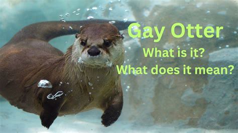 otter gay culture